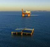 全国首个海上浮式光伏实证基地揭牌并正式启动运营！