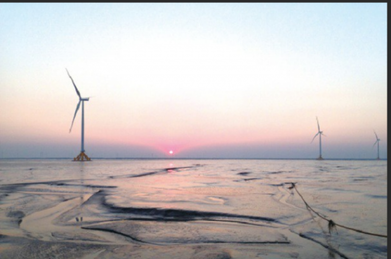 “世界青年能源行”活动组人员访龙源电力海上环港风电场