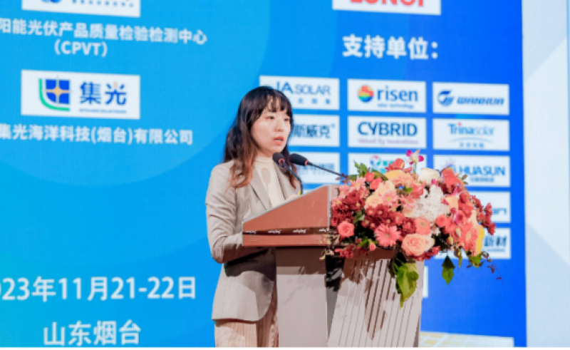 西勘院总工程师惠星：全国沿海滩涂、桩基固定式海上光伏装机量可达126.8GW、272GW