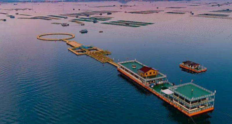 广东省 2024年海洋六大产业拟支持项目清单公布