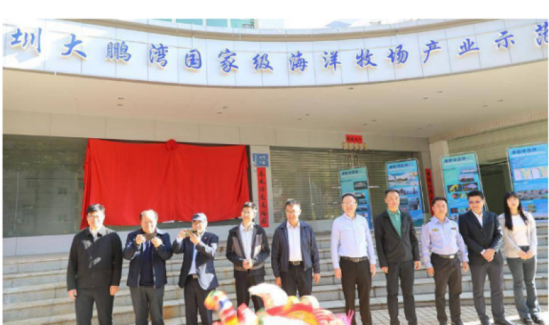 深圳大鹏湾国家级海洋牧场产业示范基地正式揭牌 