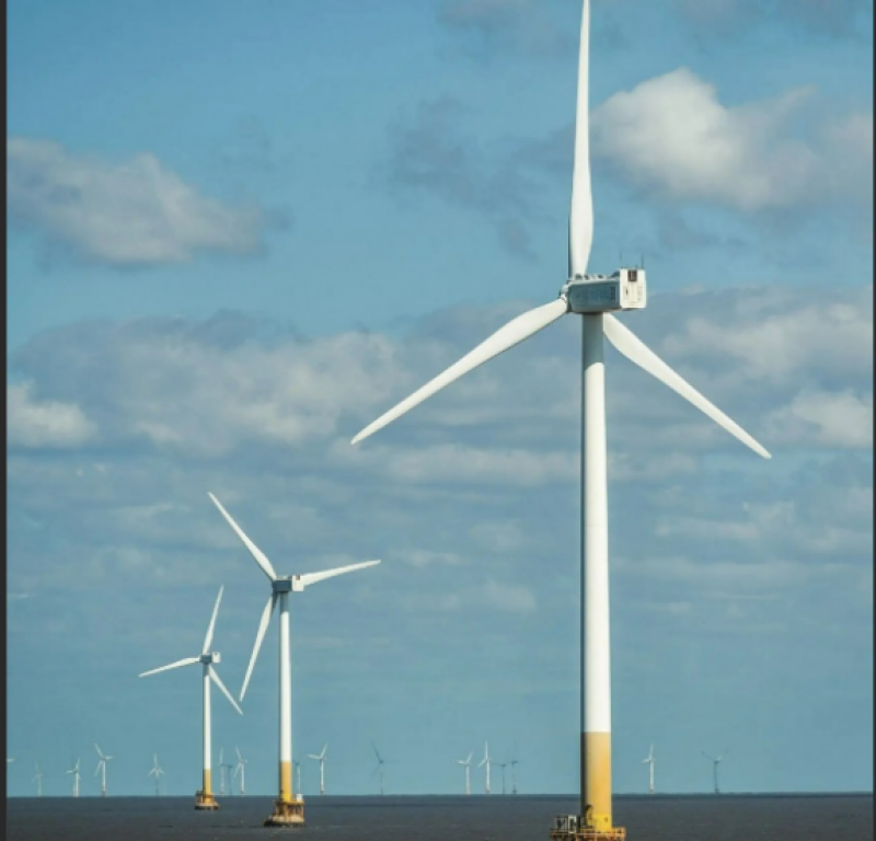 招标 | 中能建启动广西防城港298MW海上风电示范项目