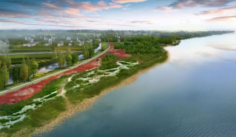 广西2个海洋生态保护修复项目获中央资金支持6亿元