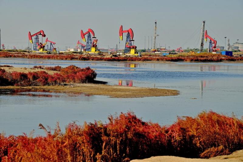 庆贺：大港油田60年采油超2亿吨