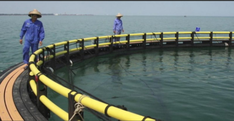 2023年海洋渔业新闻发布