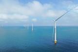 国家电投在山东首个百万千瓦级海上风电集群
