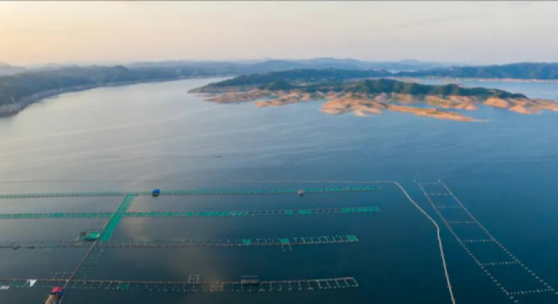 《蓝碳生态系统保护修复项目增汇成效评估技术规程(试行)》发布