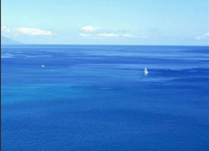 河北省政协委员、东北大学秦皇岛分校管理学院院长李刚：尽快实现河北海洋大学的建设