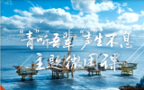 中国海油天津分公司团委构建“四三二一”工作体系推进团员和青年主题教育见行见效