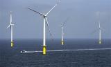 Federal Network Agency启动两个海上风电场招标
