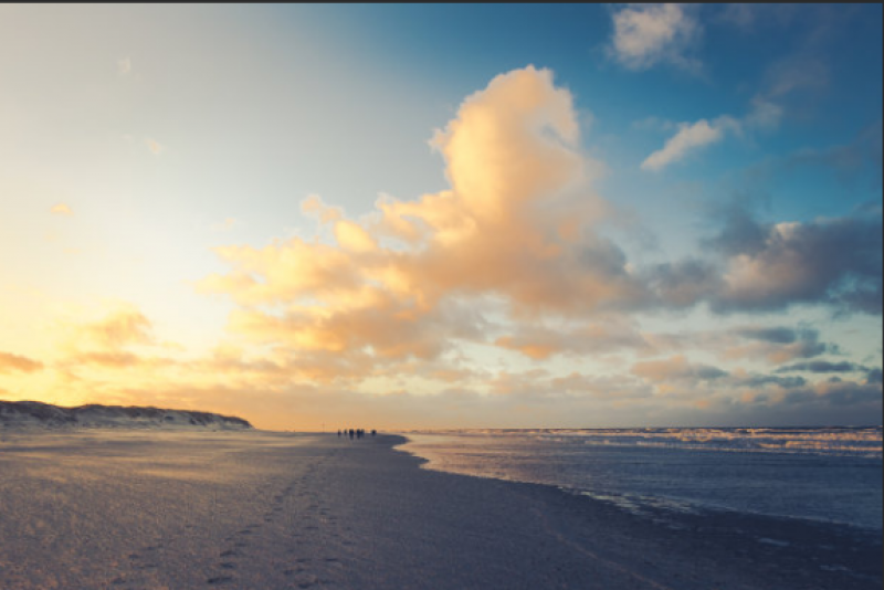 德国招标2.5吉瓦北海风电项目