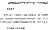 招标公告：三峡能源山东牟平300MW海上风电项目融合共建工程项目