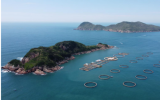 广东省能源集团：在创建世界一流企业中实现高质量发展