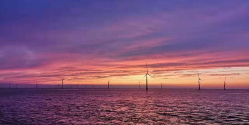 5A级标杆海上风电场