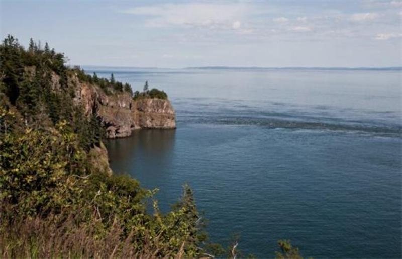 加拿大政府规划潮汐能可持续发展道路