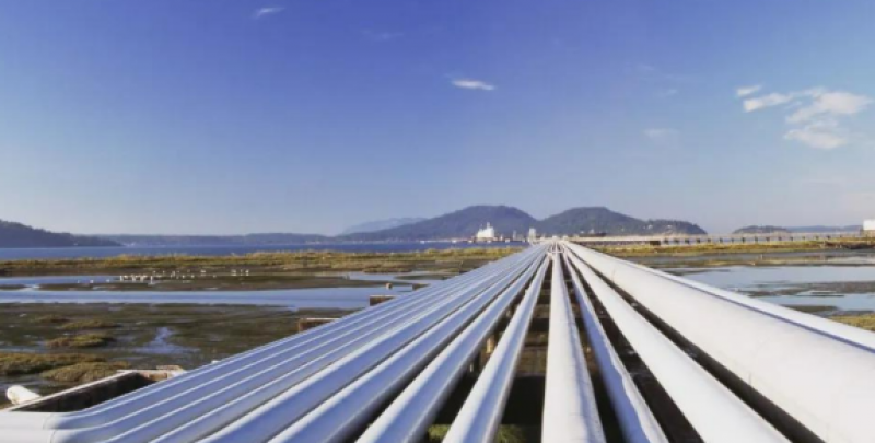 国内海底油气外输管道企业发展概况