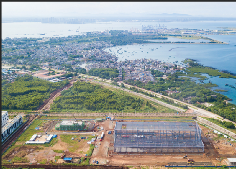 洋浦海上风电产业园将于5月全面投产