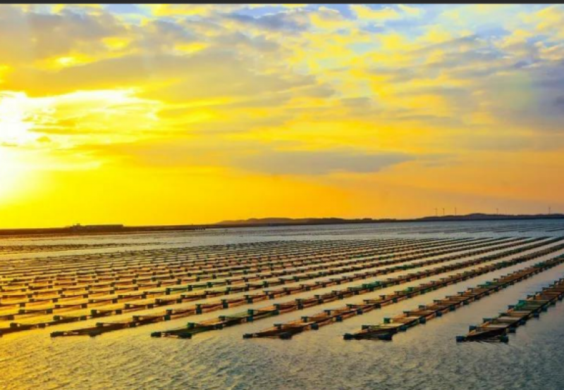 2024威海海洋经济高质量发展重要举措