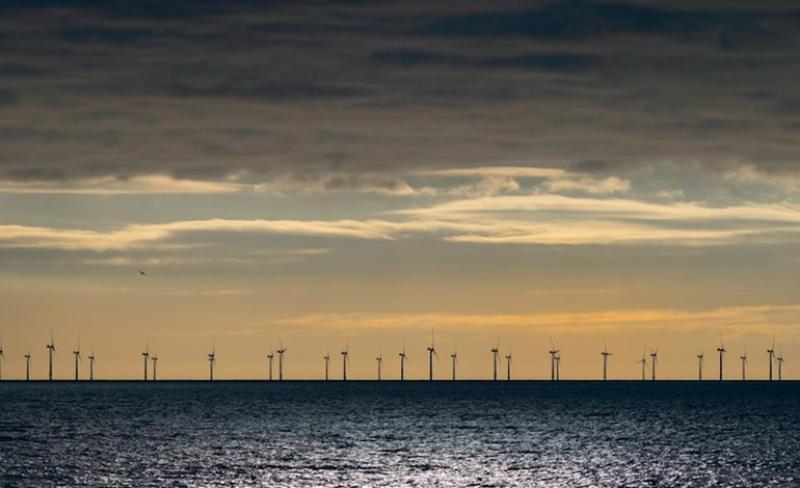 Wood MacKenzie分析显示全球风力涡轮机订单2023年达155GW