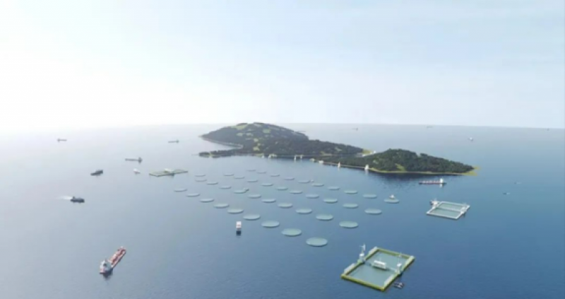 “伶仃牧场2号”“伶仃牧场3号”在粤新海工中山建造基地开建