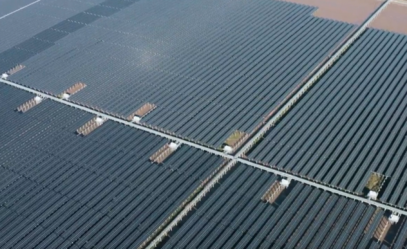 探访大唐浙江象山长大滩涂光伏项目