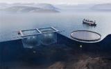 AKVA集团和Inseanergy合作应用漂浮式光伏