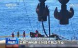 7500吨全回转起重船“蓝鲸号”助力“海基二号”精准就位