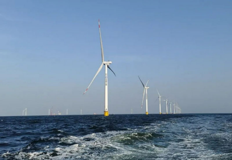 上海：组织开展新一轮海上风电竞争配置，加快金山一期等近海风电建设