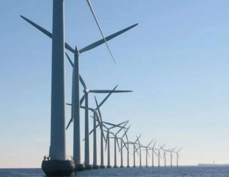 中海油集团首席科学家谢玉洪院士与海洋能源与装备建设分会专家座谈