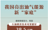 我国石油剩余技术可采储量38.5亿吨!