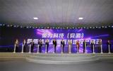 泉为科技（安徽）异质结产业集群基地正式投产