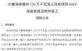 大唐海南儋州120万千瓦海上风电项目66kV海底电缆及附件施工招标