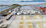 浙能台州1号海上风电项目用海生态损害评估服务招标