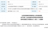 包括海上风电、海上光伏基地项目等，《山东省集中式风电光伏发电项目竞争性配置工作管理办法（试行）》印发！