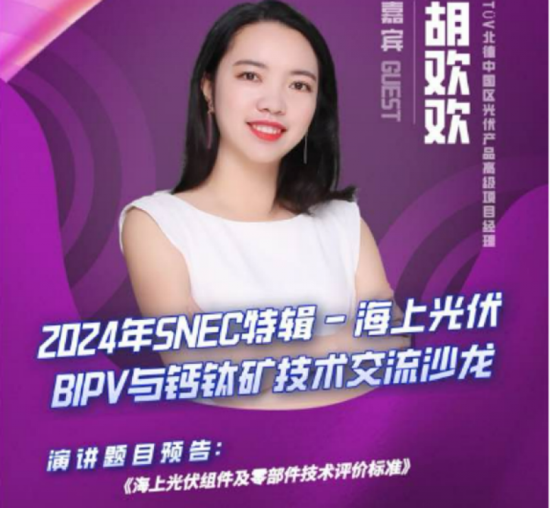 TÜV北德中国区光伏产品高级项目经理胡欢欢:《海上光伏组件及零部件技术评价标准 》