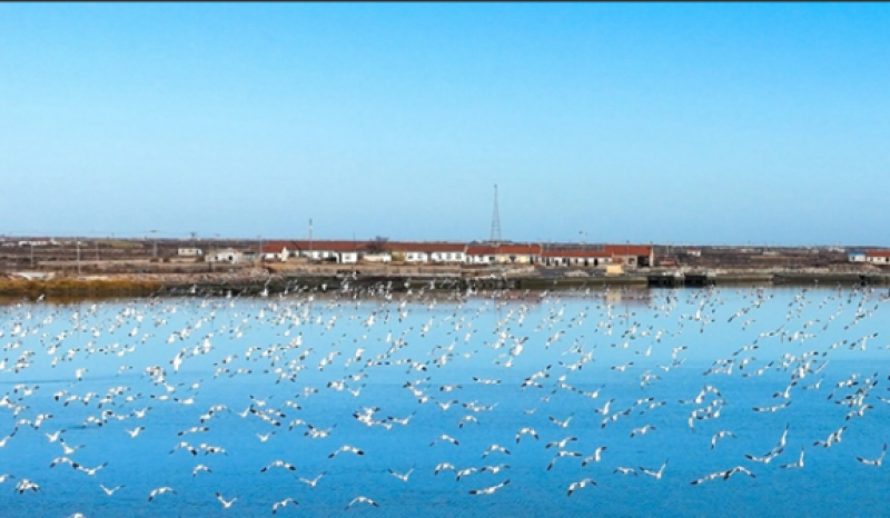 中国科学院西北生态环境资源研究院昌邑海洋生态与工程研究站开工建设！