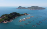 麦康森院士：传统养殖难被替代，海洋牧场需要规模化运营