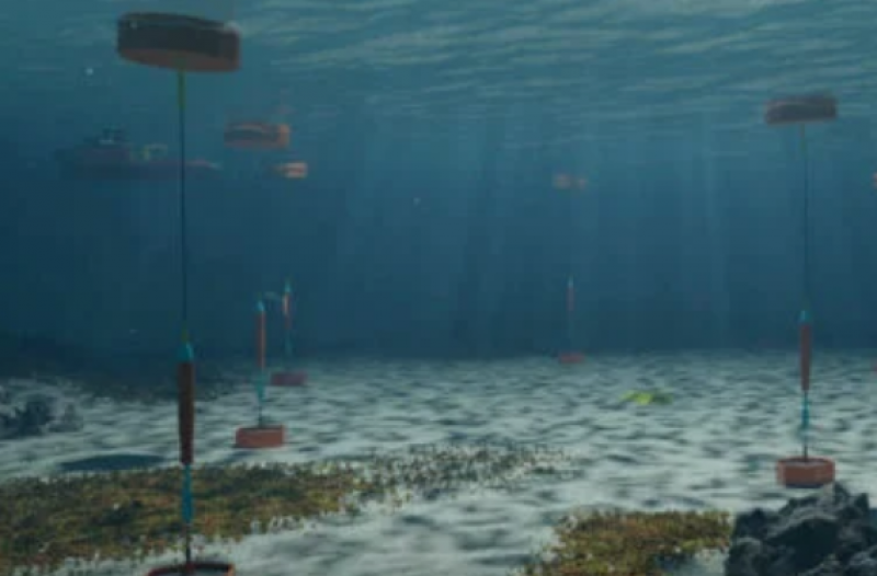 Ocean Harvesting通过新的控制系统和设计推进其第六代波浪能转换器升级