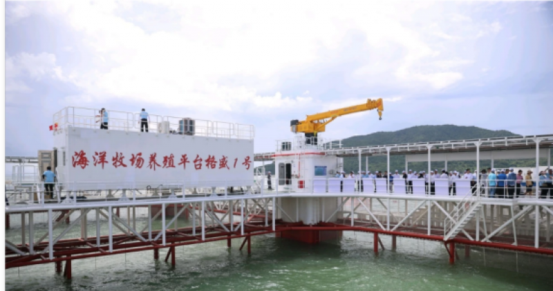 半潜桁架式养殖平台“格盛1号”交付投产！