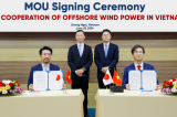 Marubeni Group与Doosan Vina合作开发越南海上风电