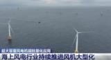 三峡上海院聚焦海上风电行业持续推进风机大型化谈体会