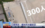 “绿色巨擘” 126米海上风电叶片诞生记