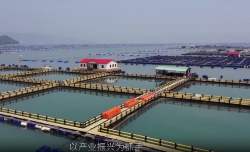 德京集团助力福建海洋经济高质量发展