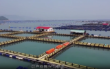 德京集团助力福建海洋经济高质量发展