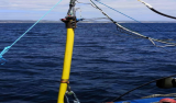 法国开展动态海底电缆监测技术海上试验