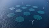 欧洲关于多源海上能源园区的政策开始形成