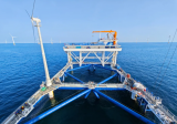 全球单体最大抗台型风渔融合网箱平台建成投运