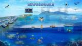 山东正迅速推进海洋物联网领域的科技创新与产业发展