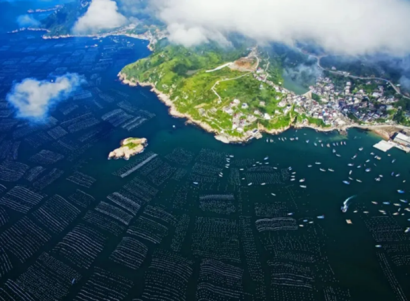 焦念志：海洋碳汇潜力巨大，双碳目标要兼具经济发展