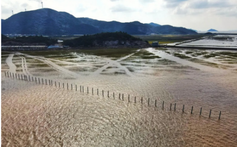 强强联合！申请“海上滩涂光伏项目管桩沉桩施工方法、装置、设备及介质”专利